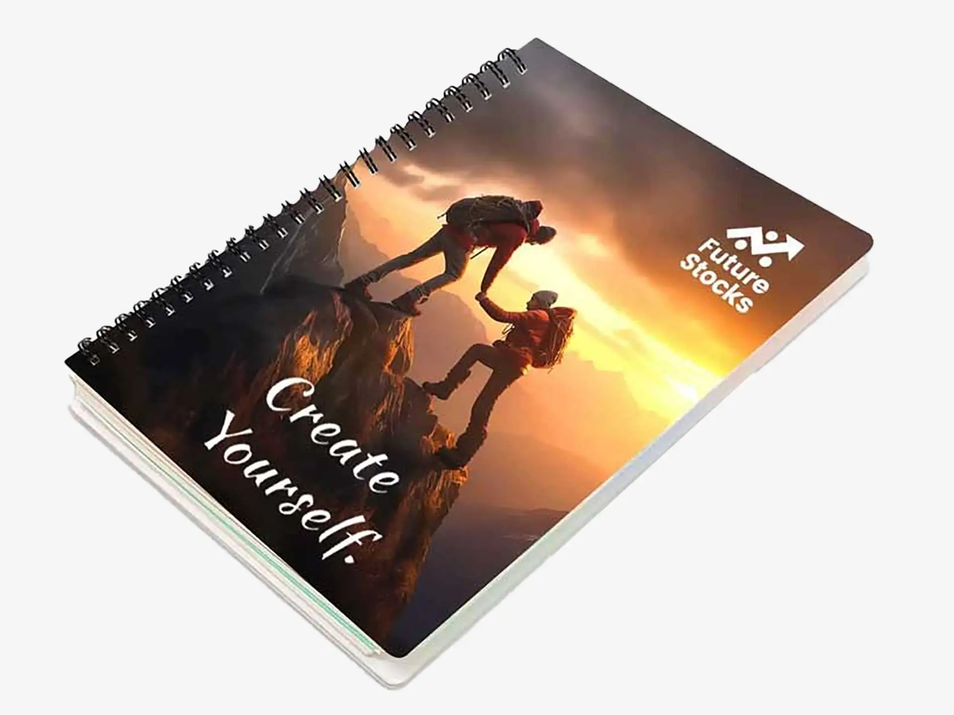 Diaries