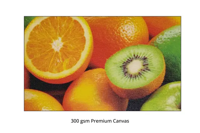 Rolled Canvas Posters