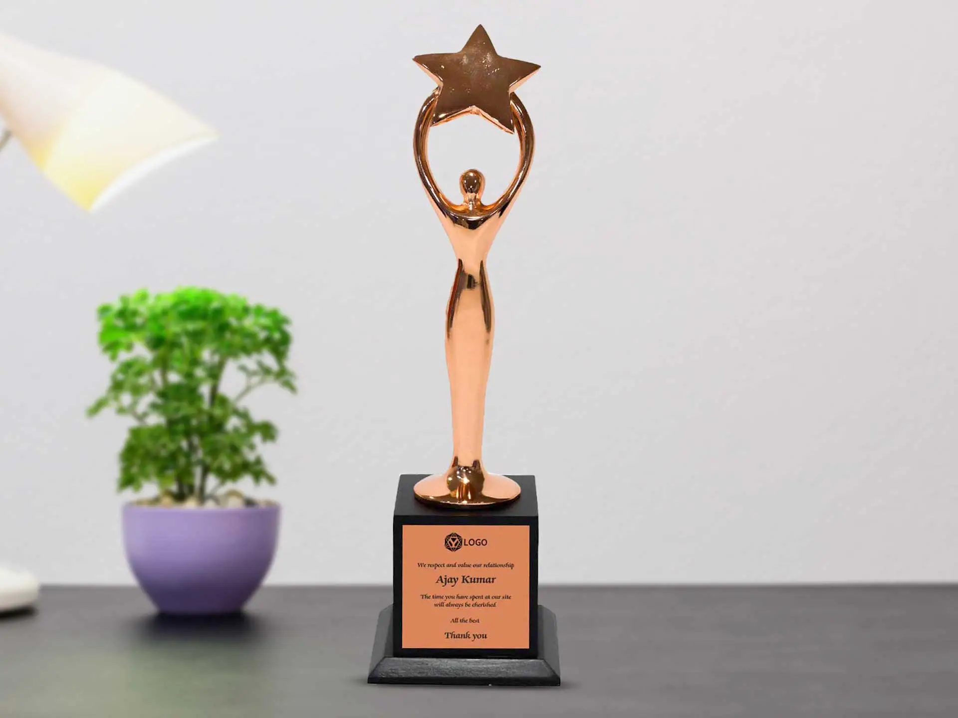 Titan Trophy - Bronze