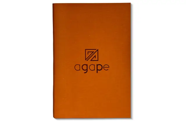 Soft-bound Tan Diary