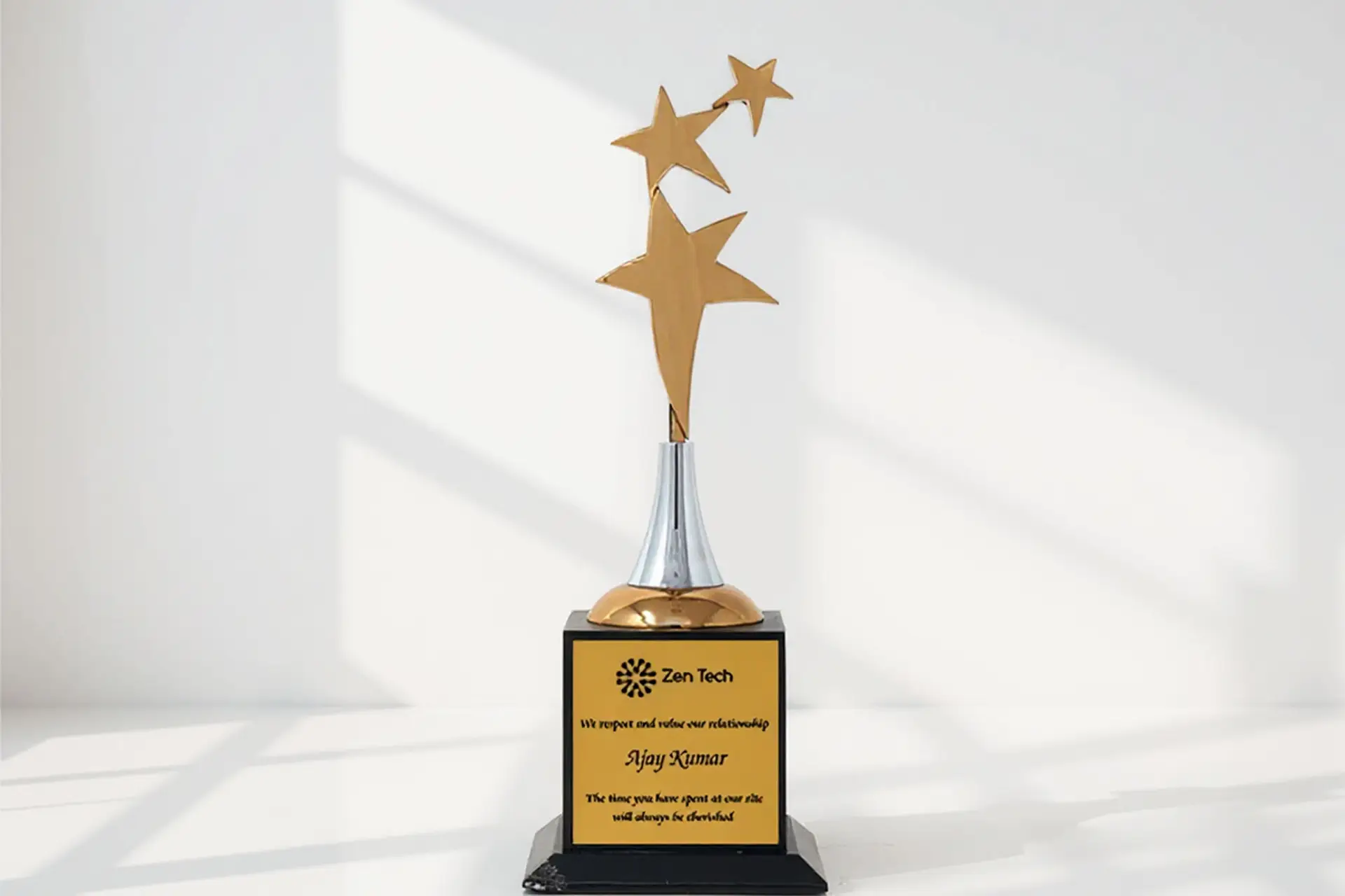 Novel - Bronze